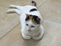 -观音桥步行街
