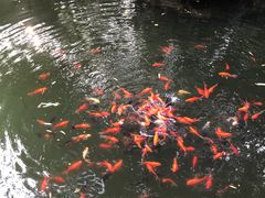 -复旦大学附属华山医院(总院)