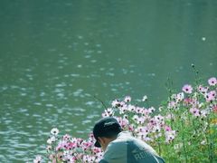 -青龙山国家森林公园