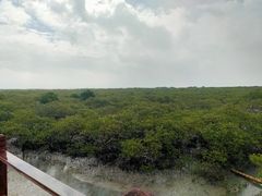 -北海金海湾红树林生态旅游区