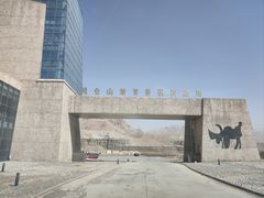 -无极龙凤宫