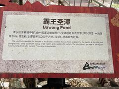 -海南霸王岭国家森林公园
