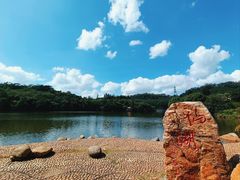 -深圳仙湖植物园