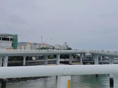 -演武大桥观景平台