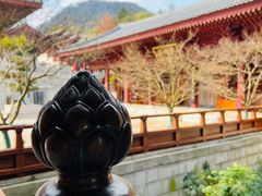 -牛首山文化旅游区