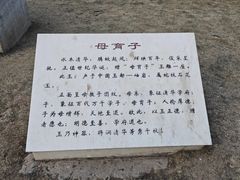 -清华大学-甲所餐厅