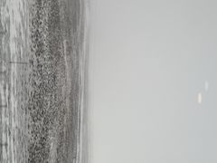 -山丹皇家马场
