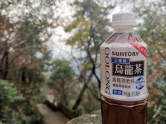 -惠山国家森林公园