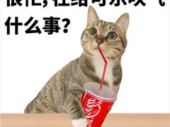 -农乐园炭火烤肉(世茂店)