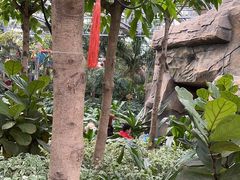 -南宫五洲植物乐园