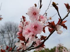 -钟山体育运动公园