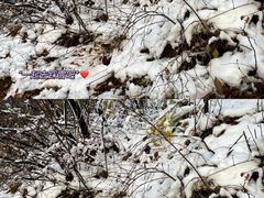 -终南山南五台景区