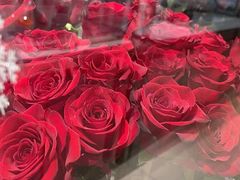 -ROSEONLY诺誓(广州K11店)