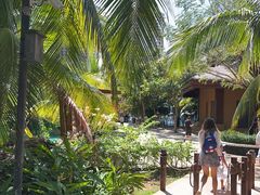 -亚马逊丛林水乐园