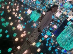-北戴河集发农业梦想王国