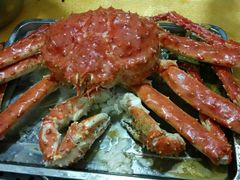 -蚝专家(北滘店)