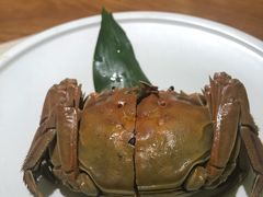八年陈酒熟醉蟹-苏小柳手工点心(人民广场分院)