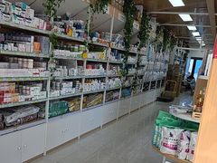 -中国农业大学动物医院