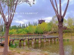 -东郊湿地公园