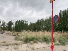 -金塔沙漠胡杨林景区