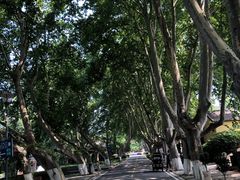 -T80科技文化国际社区-停车场