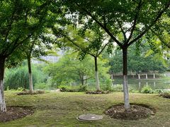 -江南大学(蠡湖校区)