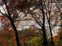 -东湖听涛景区
