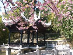 -阳明祠