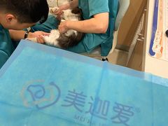 -美迦爱-牙专科·兔科·骨科诊疗中心(北苑店)