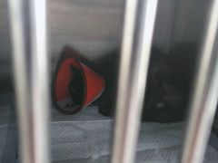 -睿金宠物医院·CT·肿瘤·骨外科