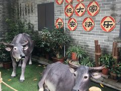 -周大娘牛乳(旧寨古村总店)