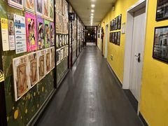 -杨梅红艺术教育(凤城教学中心)