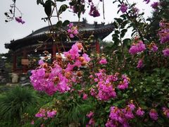 -天坛公园