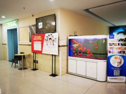 -成都军建医院·疤痕诊疗中心