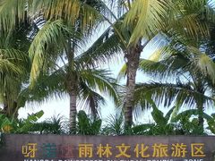 -呀诺达热带雨林