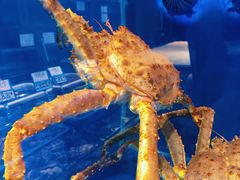 -奕景海鲜·大连菜(星海广场店)