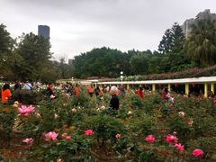 -人民公园(罗湖区)