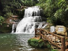 -中国大熊猫保护研究中心雅安碧峰峡基地