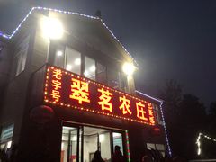 -翠茗农庄土菜馆(天目湖店)