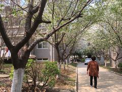 -江苏省人民医院(广州路院区)