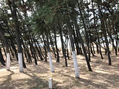-北方饺子王·海肠捞饭·海鲜锅(山大店)