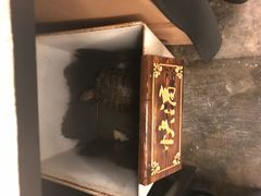 -太极禅苑