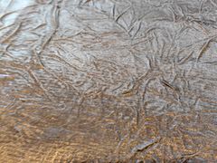 -正德楼果木烤鸭·渔家菜(东港店)