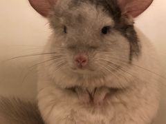 -龙猫仔乐园(惠福东路店)