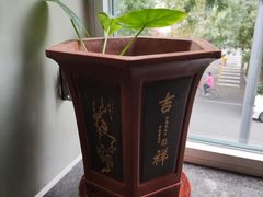 -19号私房菜(云南路店)