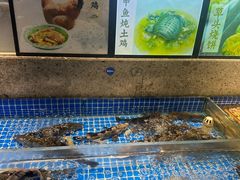-壹只菜·崇明本地特色菜(崇明南门店)