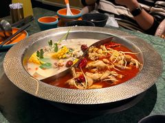 -麻田会 ·牛蛙火锅(珠江新城维家思广场店)