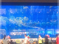 -成都浩海立方海洋公园