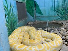 -石家庄市动物园