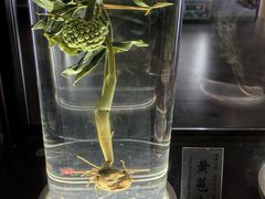 -广东中医药博物馆
